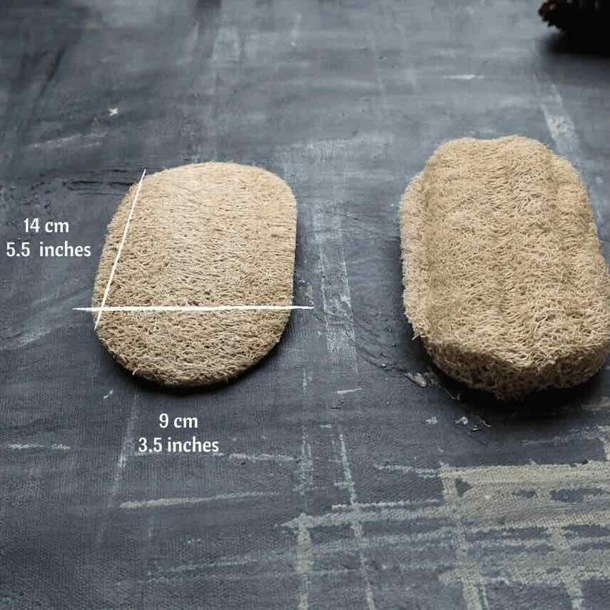 Two loofah dishwashing sponge side by side on a table, with dimension printed on the left side, which is 14cm (5.5inch) in length, and 9cm (3.5 inches) in width.