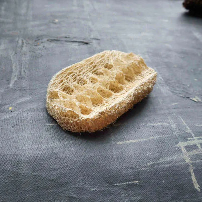 A pre soaked loofa dishwashing sponge on a dark surface.