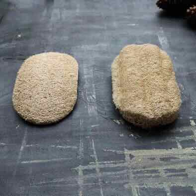 Two loofah dishwashing sponges side by side, with lookers right side one pre soaked in water.