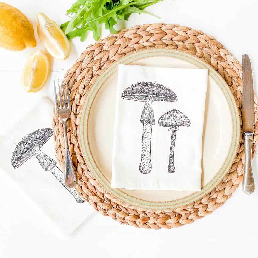 Organic Cotton Cloth Napkins - Set of 2