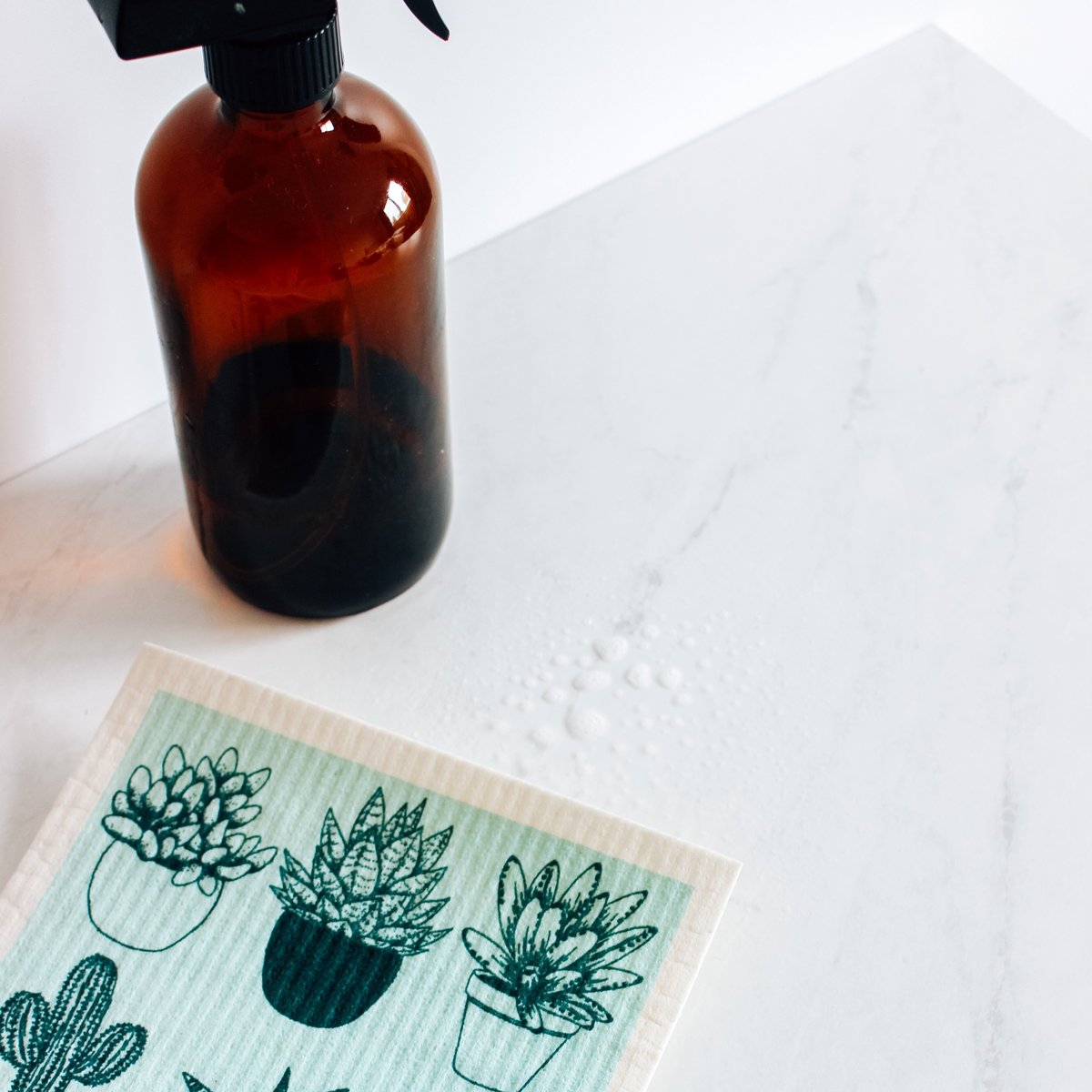 Swedish Dishcloths: Cacti