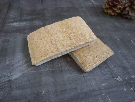 Plant-based Dishwashing Eco Sponge