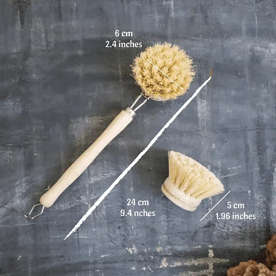 Dish Brush
