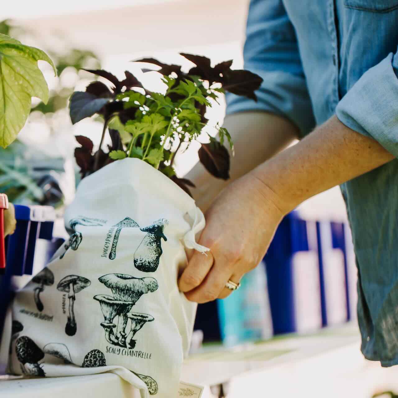A produce bag with varietal of mushroom patterns being used to carry plants in a farmer's market